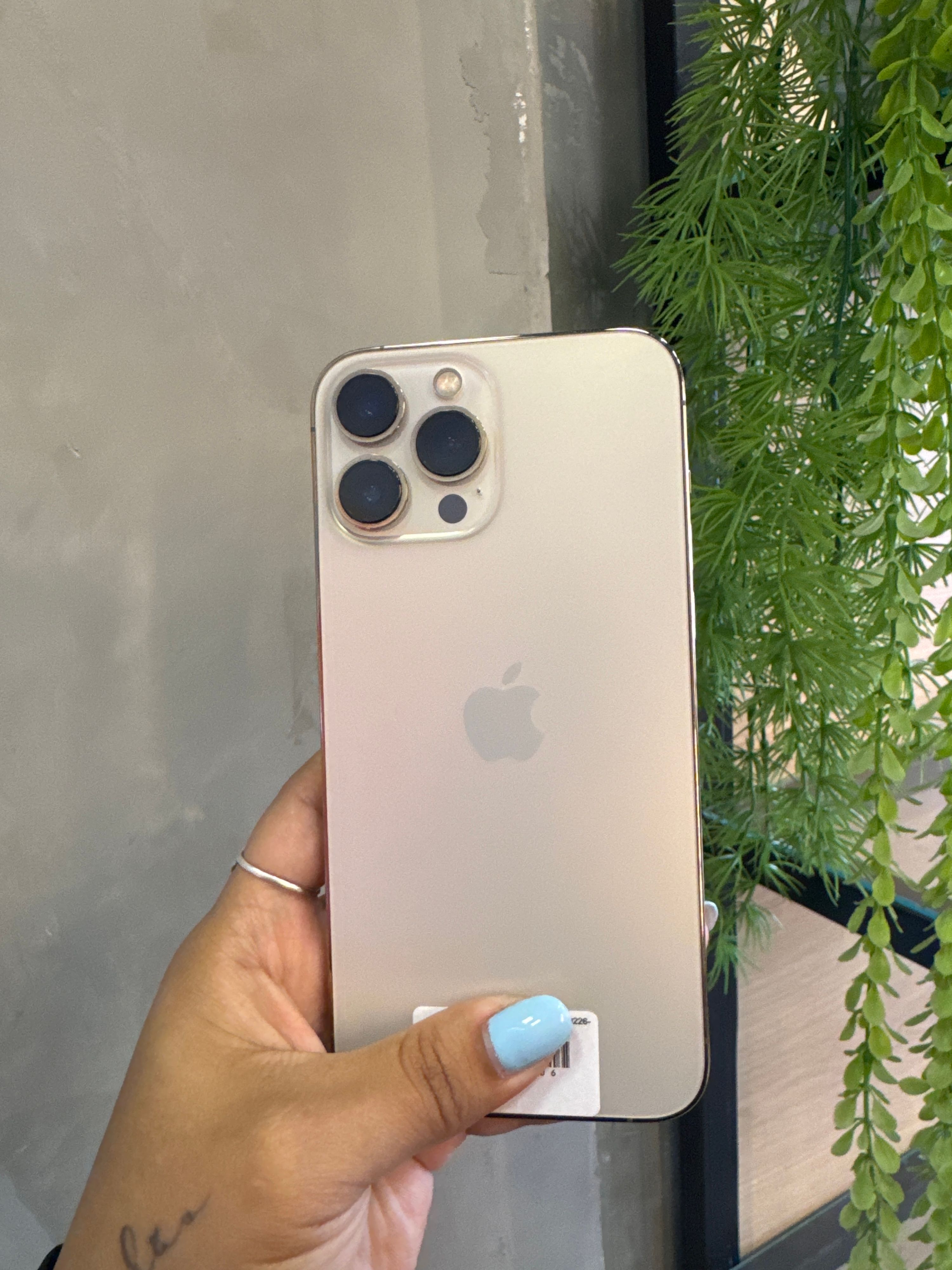 iPhone 13 Pro Max 