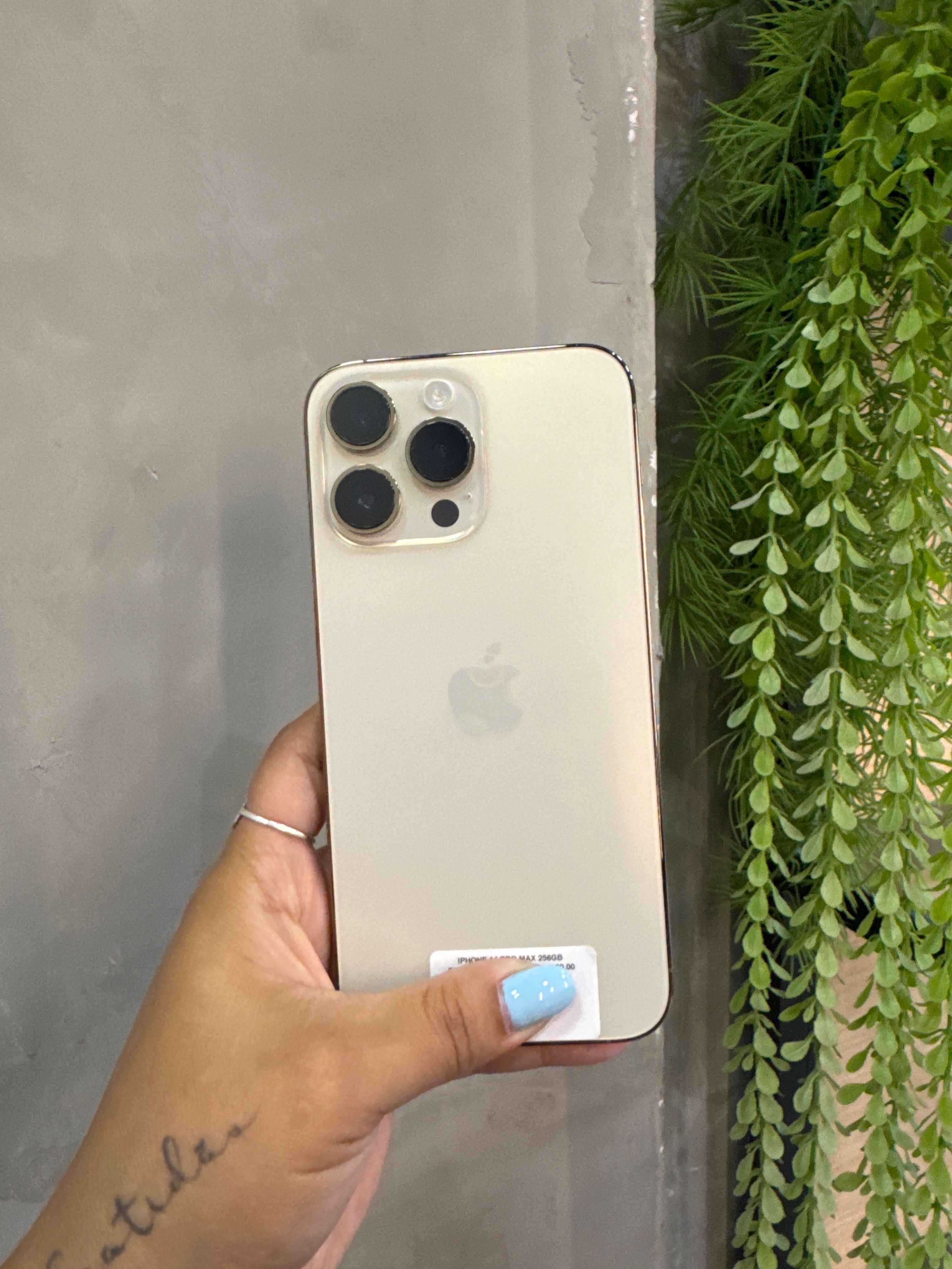 iPhone 14 Pro Max 