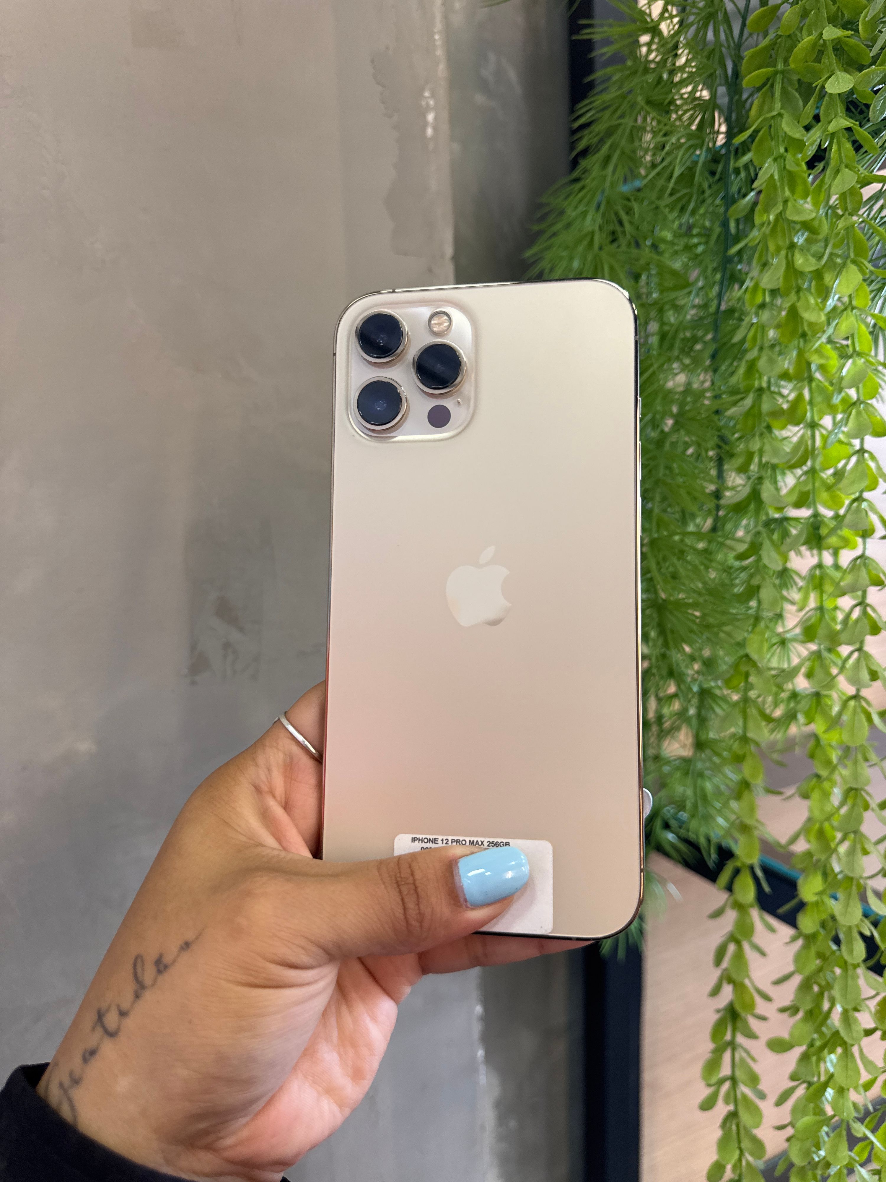 iPhone 12 Pro Max 