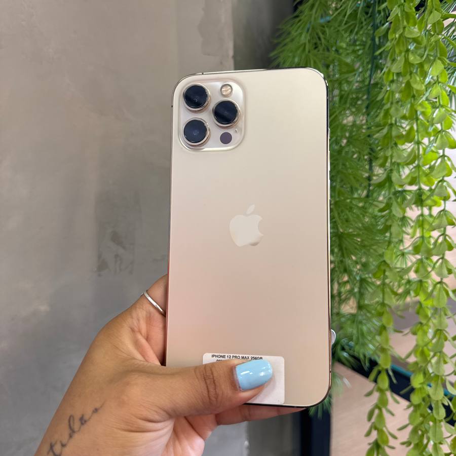 iPhone 12 Pro Max