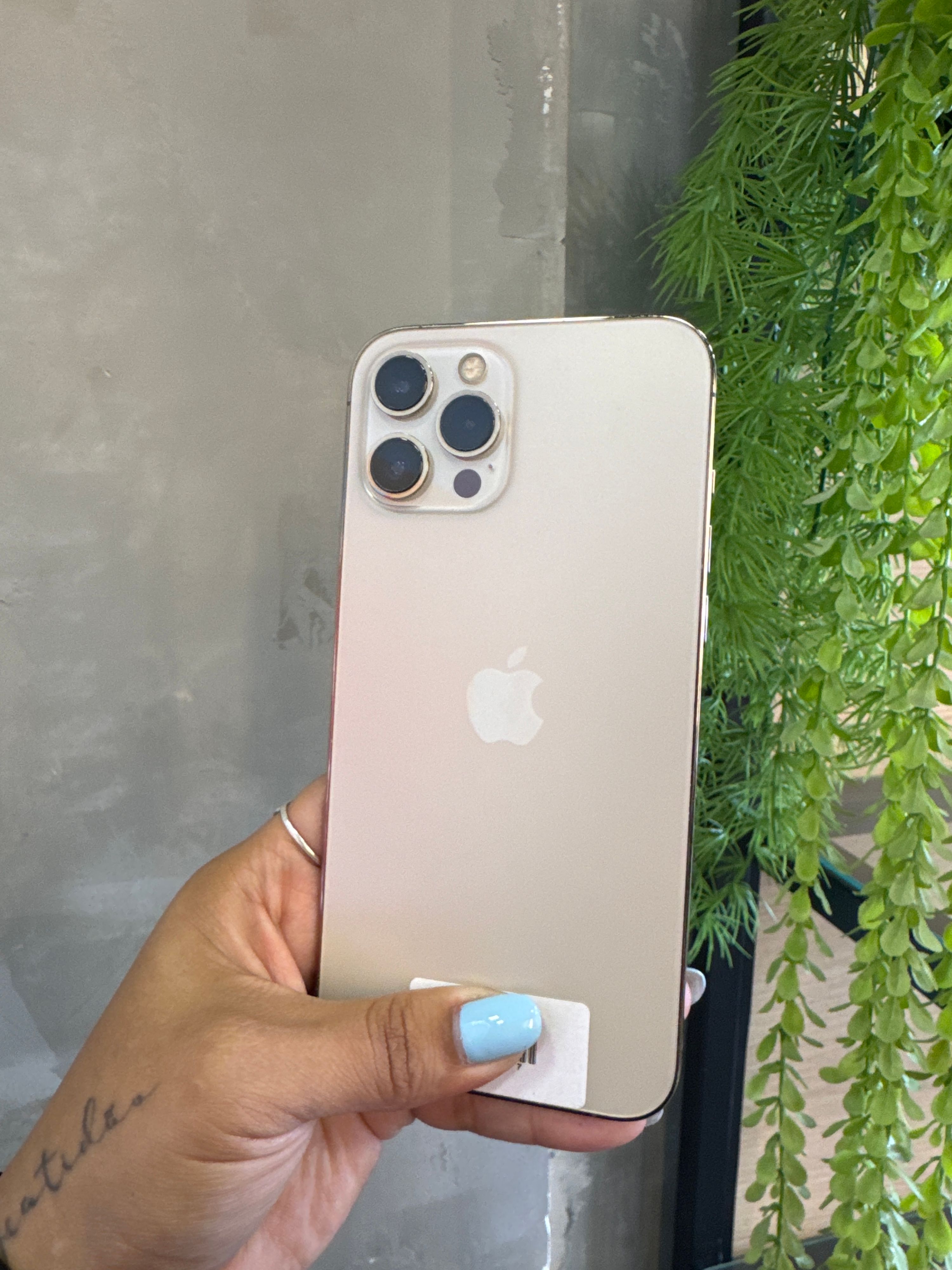 iPhone 12 Pro Max 